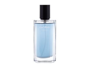 Lõhnavesi Davidoff Cool Water Parfum EDP meestele, 100 ml hind ja info | Meeste parfüümid | kaup24.ee