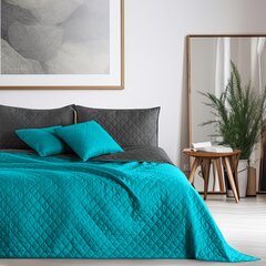 Kahepoolne voodikate DecoKing Axel, 200x220 cm hind ja info | Voodikatted, pleedid | kaup24.ee