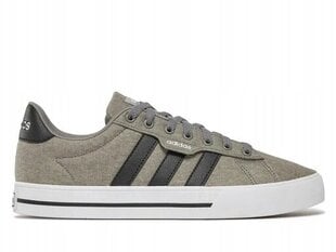 ADIDAS DAILY 3.0 meeste kingad hallid FW3270 45.3 hind ja info | Meeste kingad, saapad | kaup24.ee