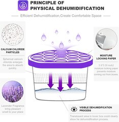 Поглотитель влаги лаванда - 500мл х 6 шт. цена и информация | Осушители воздуха, влагопоглотители | kaup24.ee