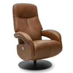 Tugitool Bull recliner, pruun hind ja info | Tugitoolid ja tugitoolvoodid | kaup24.ee