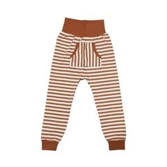 Брюки Fred's World by Green Cotton "Полосатый карман - миндаль" OUTLET 1535073700-izm-104 цена и информация | Штаны для девочек | kaup24.ee