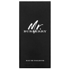 Туалетная вода Burberry Mr. Burberry EDT для мужчин, 50 мл цена и информация | Мужские духи | kaup24.ee