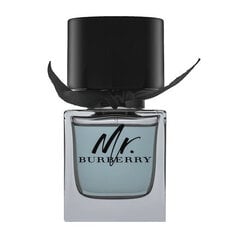 Туалетная вода Burberry Mr. Burberry EDT для мужчин, 50 мл цена и информация | Мужские духи | kaup24.ee