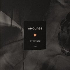 Amouage Overture Man - EDP цена и информация | Мужские духи | kaup24.ee