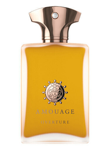 Lõhnavesi Amouage Overture Man EDP, 100 ml hind ja info | Meeste parfüümid | kaup24.ee