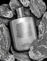 Lõhnavesi Zimaya Phantom Paragon EDP meestele, 100 ml hind ja info | Meeste parfüümid | kaup24.ee