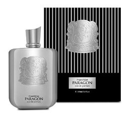 Zimaya Phantom Paragon Eau de Parfum для мужчин 100 мл цена и информация | Мужские духи | kaup24.ee