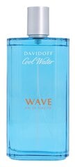 Davidoff Cool Water Wave Туалетная вода для мужчин Тестер 125 мл цена и информация | Мужские духи | kaup24.ee