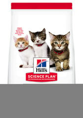 Hill's Science Plan Kitten kuivtoit kassipoegadele, kanamaitseline, 300 g цена и информация | Сухой корм для кошек | kaup24.ee