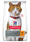 Hill's Science Plan Young Adult Sterilised Cat kuivtoit kassidele koos kanaga, 3kg hind ja info | Kuivtoit kassidele | kaup24.ee