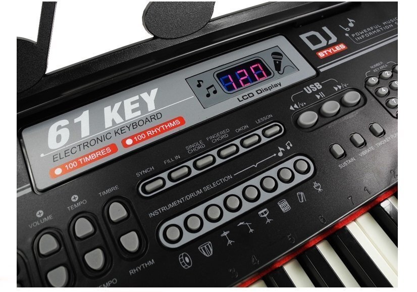 Klaver mikrofoniga USB või telefoniühendusega Mega, 61 klahvi цена и информация | Arendavad mänguasjad | kaup24.ee