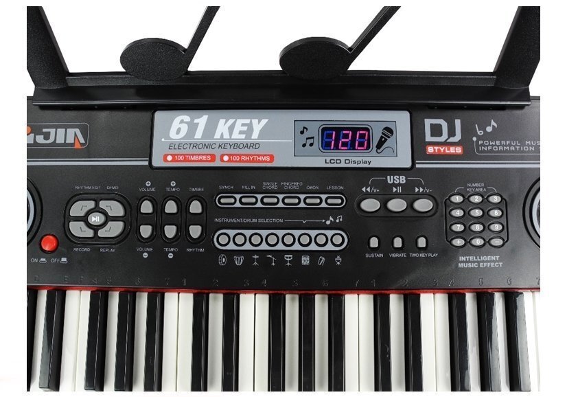 Klaver mikrofoniga USB või telefoniühendusega Mega, 61 klahvi цена и информация | Arendavad mänguasjad | kaup24.ee