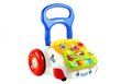 Käimistugi arendava tahvliga цена и информация | Imikute mänguasjad | kaup24.ee