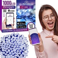 Светодиодная гирлянда Smart 1000, холодный белый цена и информация | Гирлянды | kaup24.ee