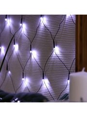 Штора - сетка, 160LED, холодный белый цена и информация | Гирлянды | kaup24.ee