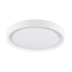 Laevalgusti LED 33 hind ja info | Laelambid | kaup24.ee