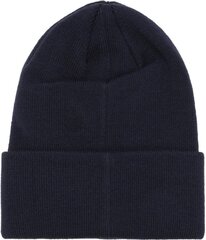 Müts Fila Frisco Beanie hind ja info | Meeste sallid, mütsid ja kindad | kaup24.ee