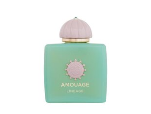 Lõhnavesi Amouage Lineage EDP meestele, 100 ml hind ja info | Meeste parfüümid | kaup24.ee