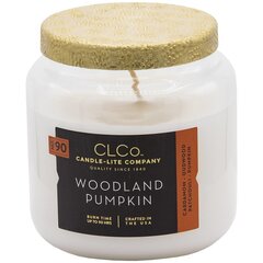 Lõhnaküünal kaanega Candle-Lite Woodland Pumpkin, 396 g цена и информация | Подсвечники, свечи | kaup24.ee