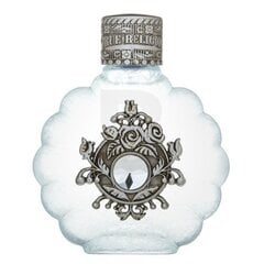 True Religion for Women Eau de Parfum для женщин 100 мл цена и информация | Женские духи | kaup24.ee