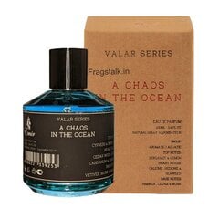 Lõhnavesi Emja Valar A Chaos In The Ocean EDP meestele, 100 ml hind ja info | Meeste parfüümid | kaup24.ee