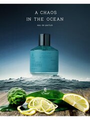 Lõhnavesi Emja Valar A Chaos In The Ocean EDP meestele, 100 ml цена и информация | Мужские духи | kaup24.ee