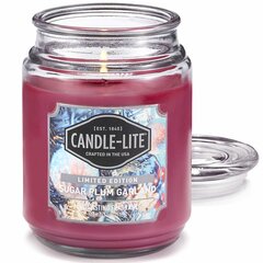 Lõhnaküünal Candle-lite Everyday Sugar Plum Garland hind ja info | Küünlad, küünlajalad | kaup24.ee