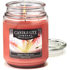 Lõhnaküünal Candle-lite Everyday Sweet Pear Lily hind ja info | Küünlad, küünlajalad | kaup24.ee