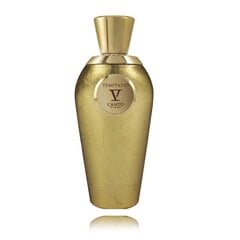 Parfüüm Tiziana Terenzi V Canto Temptatio Extrait de Parfum PP meestele/naistele, 100 ml hind ja info | Naiste parfüümid | kaup24.ee