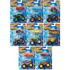 Masinate komplekt Mattel Hot Wheels Monster Truck 1 64 Pack 2 Night Shifter hind ja info | Poiste mänguasjad | kaup24.ee