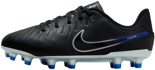 Nike Обувь Jr Legend 10 Academy Fg/Mg Blue Black Grey DV4348 040 DV4348 040/3.5 цена и информация | Детская спортивная обувь | kaup24.ee