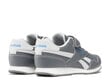 Spordijalatsid poistele Reebok 100074581, hall цена и информация | Laste spordijalatsid | kaup24.ee