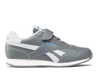 Spordijalatsid poistele Reebok 100074581, hall hind ja info | Laste spordijalatsid | kaup24.ee