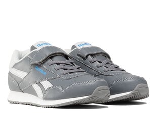 Spordijalatsid poistele Reebok 100074581, hall hind ja info | Laste spordijalatsid | kaup24.ee