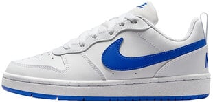 Nike Обувь Court Borough Low White Blue DV5456 110 DV5456 110/4.5 цена и информация | Детская спортивная обувь | kaup24.ee