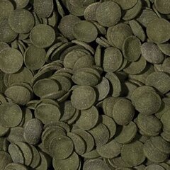 Корм для аквариумных рыб TROPICAL Green Algae Wafers 250 мл/113 г цена и информация | Корм для живой рыбы | kaup24.ee