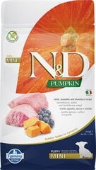 FARMINA N&D Pumpkin Dog Lamb & Blueberry Puppy Mini - сухой корм для собак - 800 г цена и информация | Сухой корм для собак | kaup24.ee