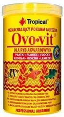 TROPICAL Ovo-Vit - корм для аквариумных рыб - 1000 мл/200 г цена и информация | Корм для живой рыбы | kaup24.ee