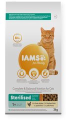 Сухой корм для кошек - IAMS CAT ADULT STERILIZED CHICKEN, 3 кг цена и информация | Сухой корм для кошек | kaup24.ee