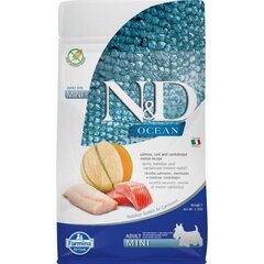 FARMINA N&D Ocean Dog Salmon, Cod, Cantaloupe, Melon Adult Mini - сухой корм для собак - 800 г цена и информация | Сухой корм для собак | kaup24.ee