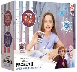 Творческий набор Создай сверкающий снег Холодное сердце 2 (Frozen 2), DFR2-4914 цена и информация | Развивающие игрушки | kaup24.ee