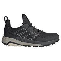 Adidas TERREX TRAILMAKER GTX мужская спортивная обувь FV6863 цена и информация | Мужские ботинки | kaup24.ee