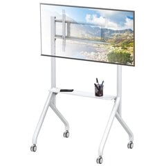 Mobiilne TV alus 65-100" kuni 100 kg, reguleeritava AV riiuliga hind ja info | Teleri seinakinnitused ja hoidjad | kaup24.ee