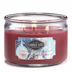 Lõhnaküünal Candle-lite Everyday Sugar Plum Garland hind ja info | Küünlad, küünlajalad | kaup24.ee