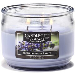 Lõhnaküünal Candle-lite Everyday Fresh Lavender Breeze hind ja info | Küünlad, küünlajalad | kaup24.ee