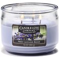 Lõhnaküünal Candle-lite Everyday Fresh Lavender Breeze