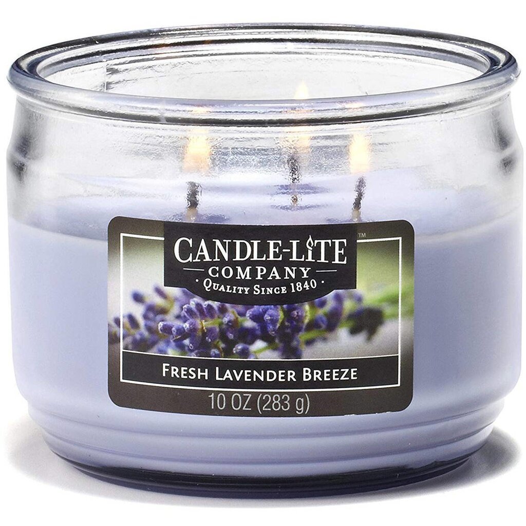 Lõhnaküünal Candle-lite Everyday Fresh Lavender Breeze цена и информация | Küünlad, küünlajalad | kaup24.ee