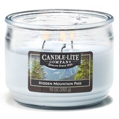 Lõhnaküünal Candle-lite Everyday Fresh Lavender Breeze hind ja info | Küünlad, küünlajalad | kaup24.ee