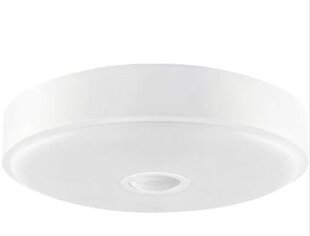 Laevalgusti Xiaomi Yeelight Crystal LED Mini YLXD09YL hind ja info | Laelambid | kaup24.ee